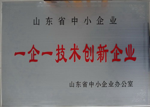 山东省济南市一企一技术认定条件 