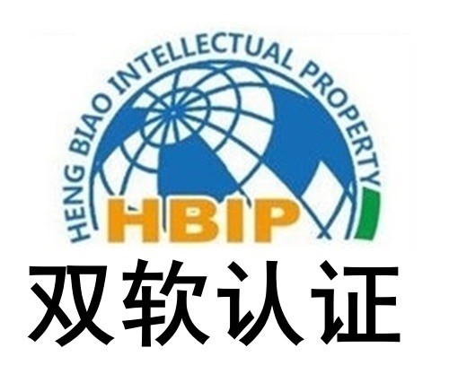 滨州代办双软企业认证申报 软件企业认定指