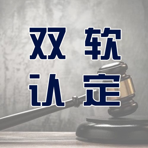 聊城市双软认定申请须知