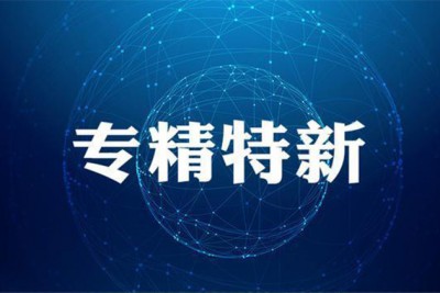 济南市专精特新申报，专精特新申报的认定特