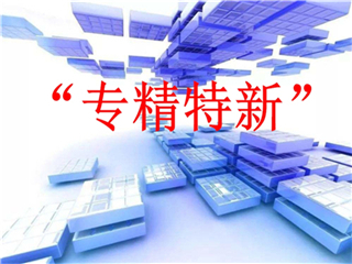 山东省2022年专精特新项目申报标准