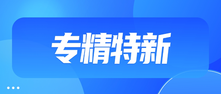 山东专精特新申报准备(图3)